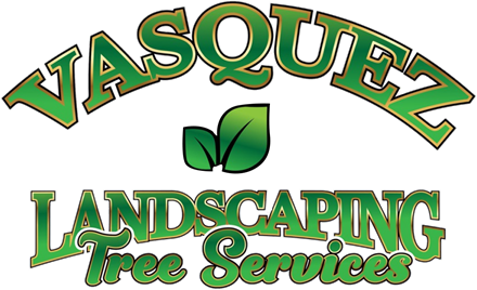 Vasquez Landscaping