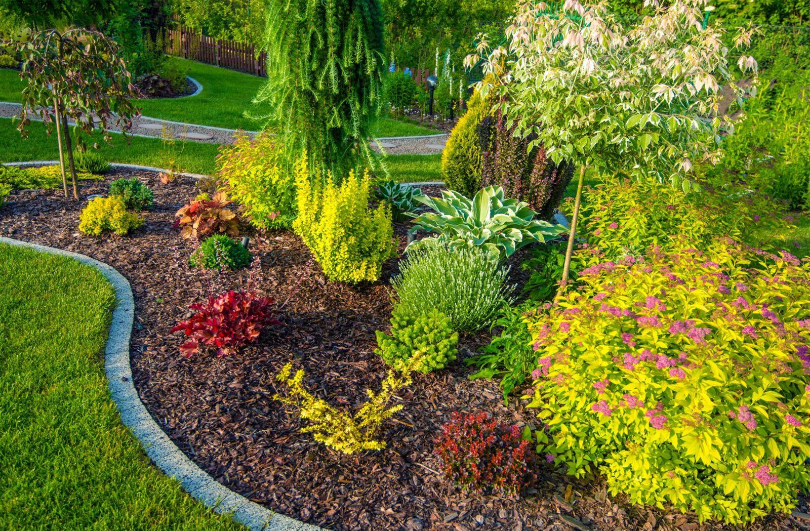 Vasquez Landscaping project