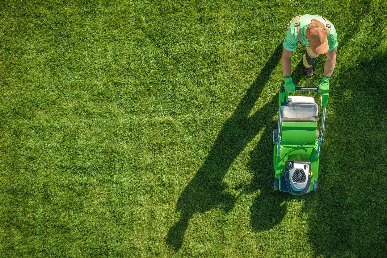 Lawn maintenance